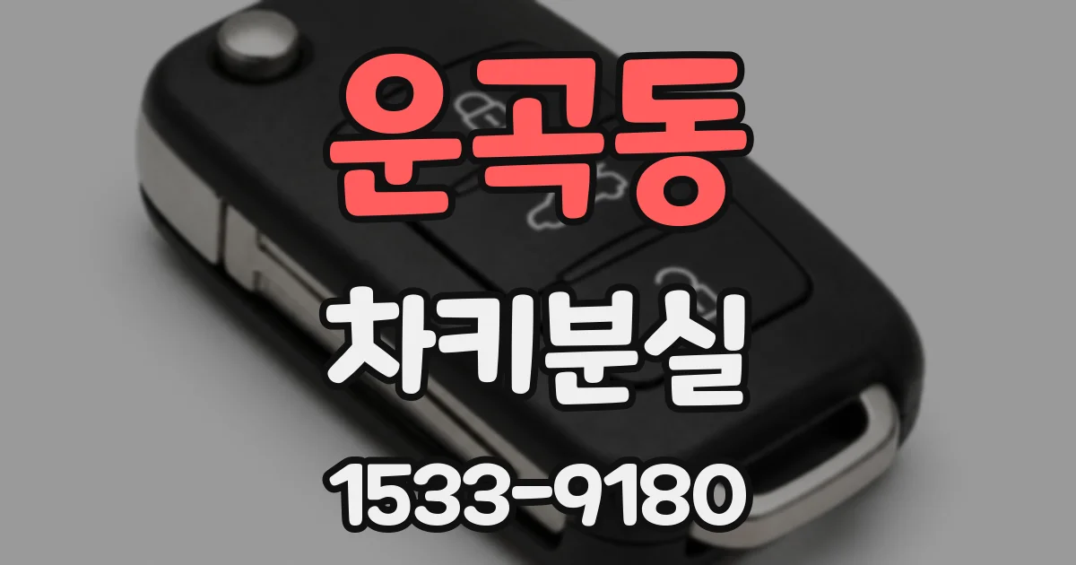 운곡동 차키분실