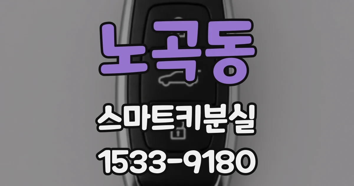 노곡동 스마트키분실