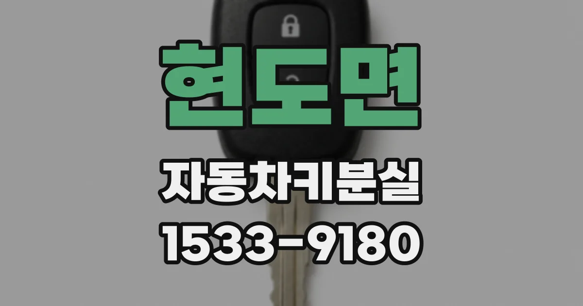 현도면 자동차키분실