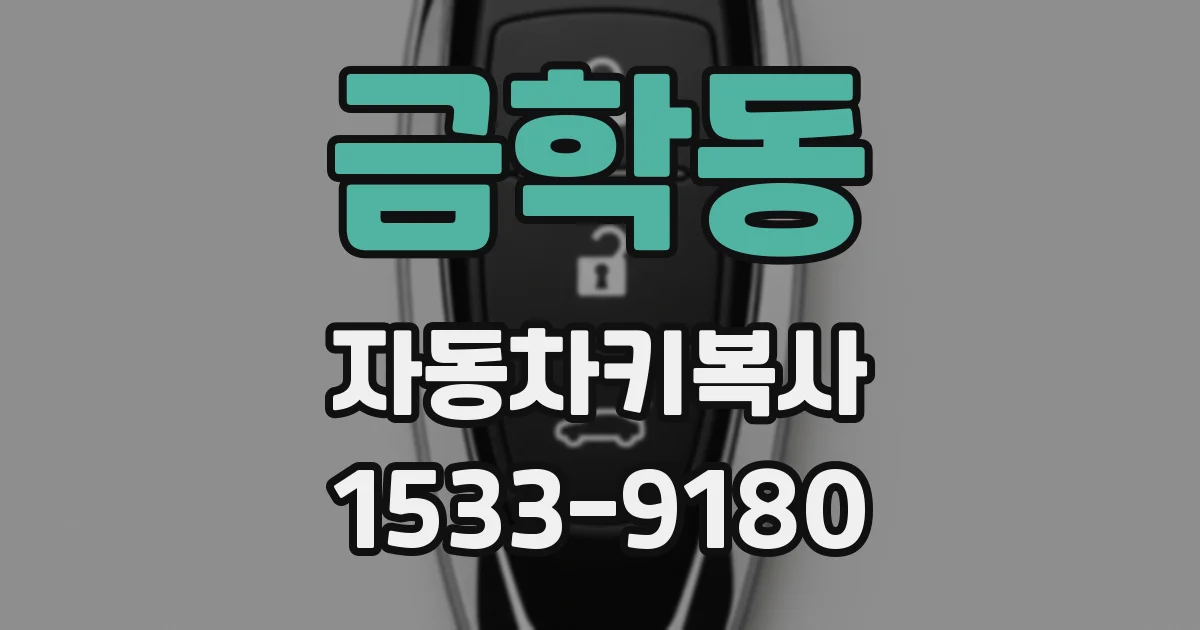 금학동 자동차키복사