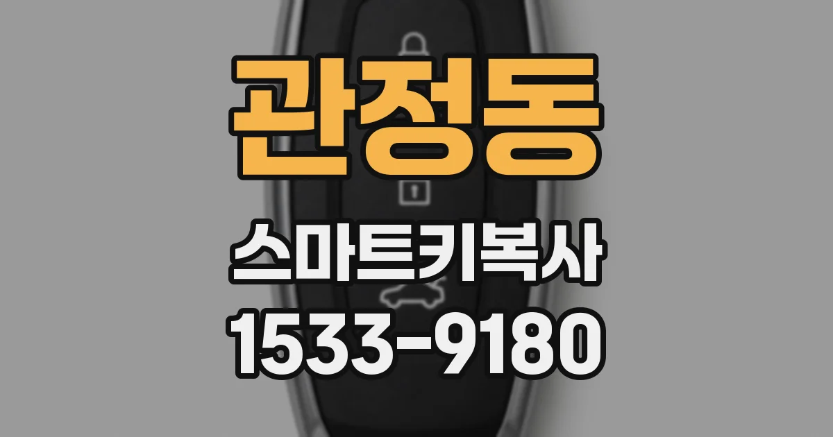 관정동 스마트키복사