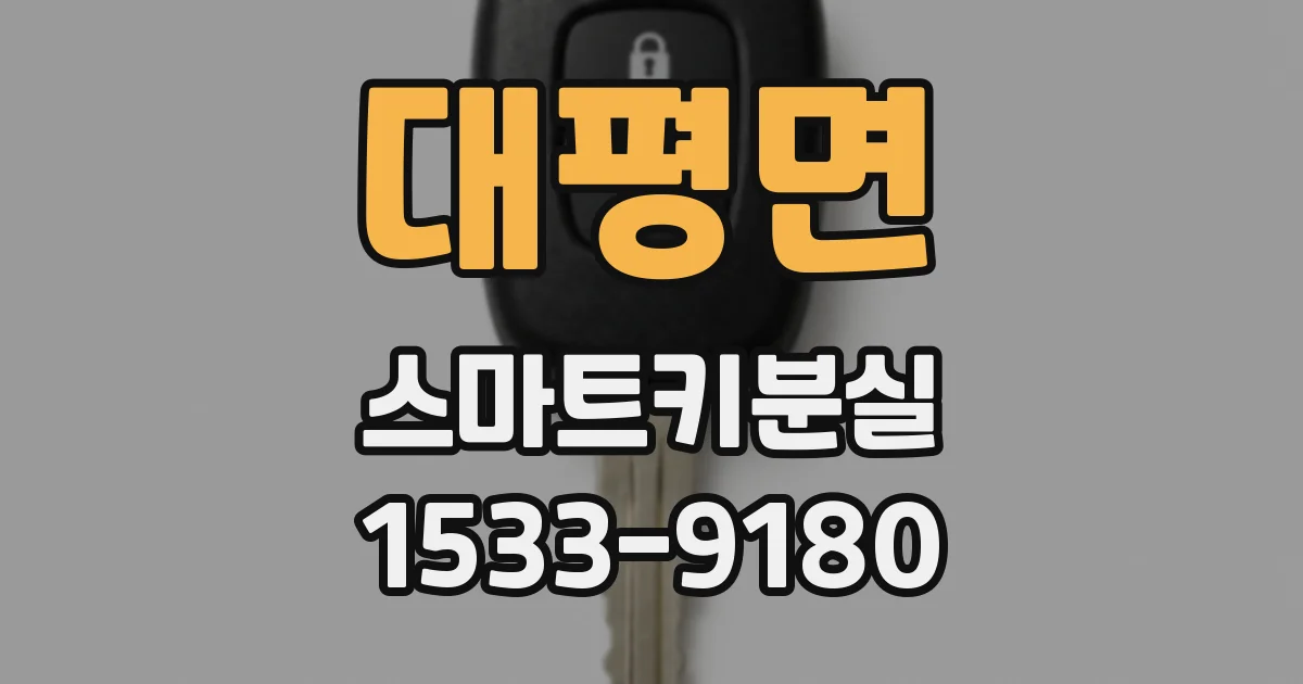 대평면 스마트키분실