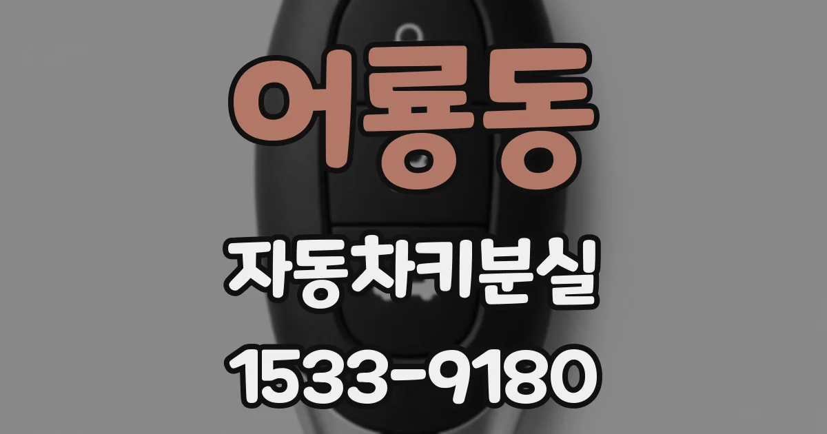 어룡동 자동차키분실