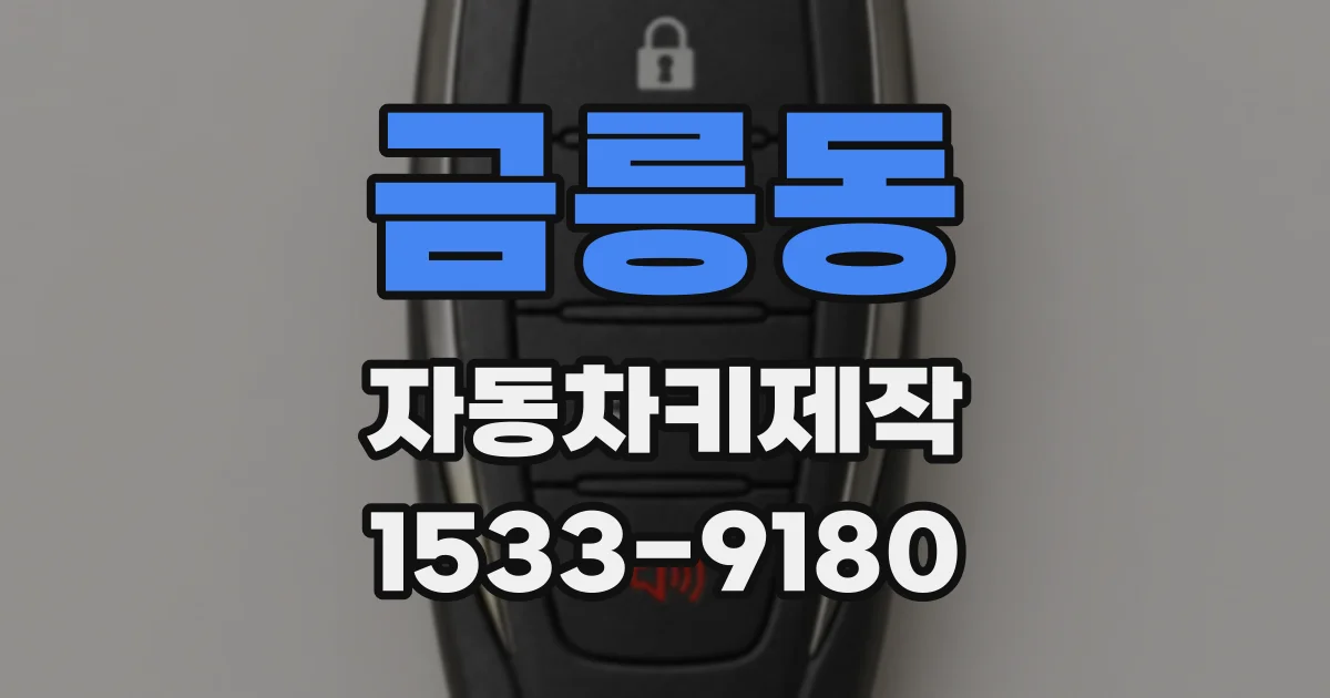 금릉동 자동차키제작