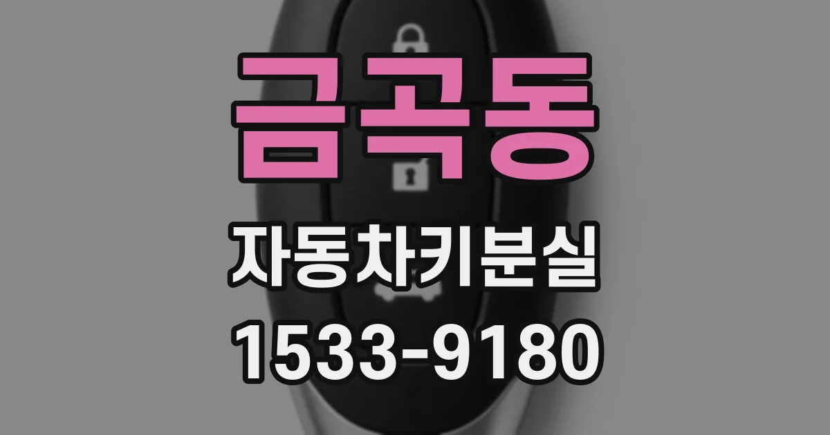 금곡동 자동차키분실