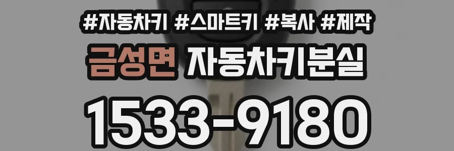 금성면 자동차키분실