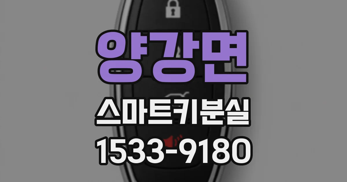 양강면 스마트키분실