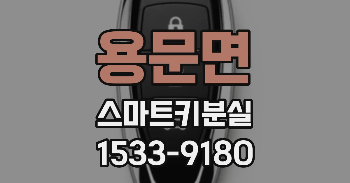 용문면 스마트키분실