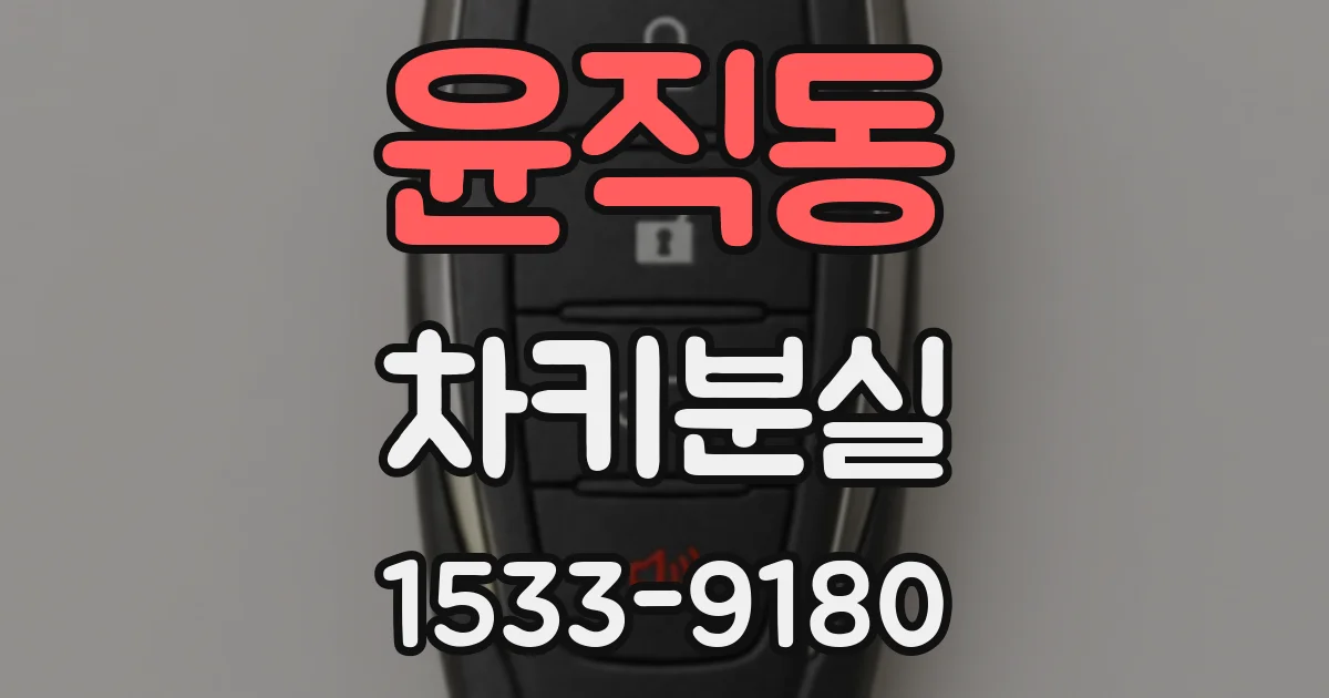 윤직동 차키분실