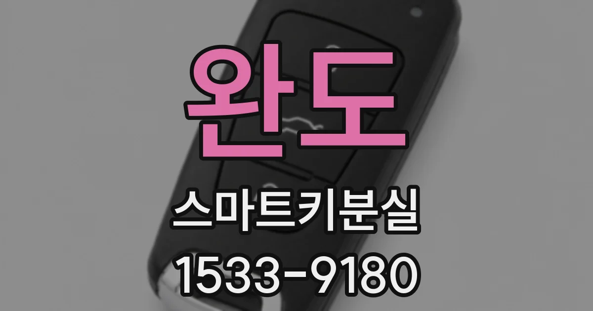 완도 스마트키분실