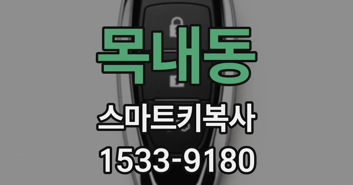 목내동 스마트키복사