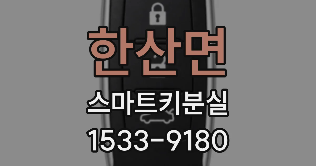 한산면 스마트키분실