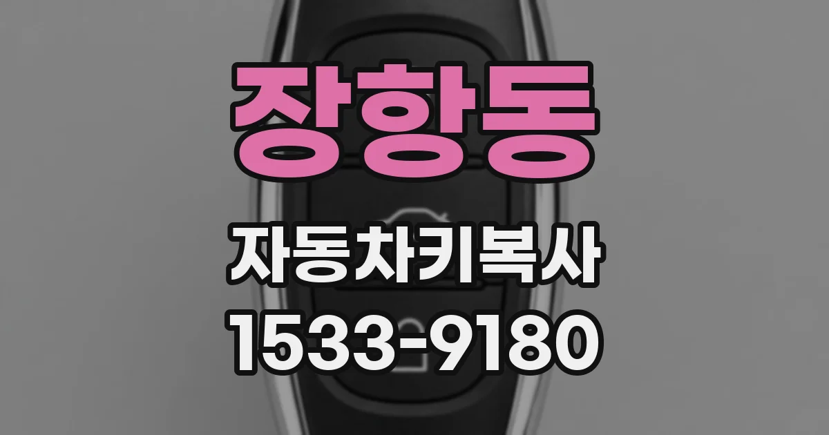 장항동 자동차키복사