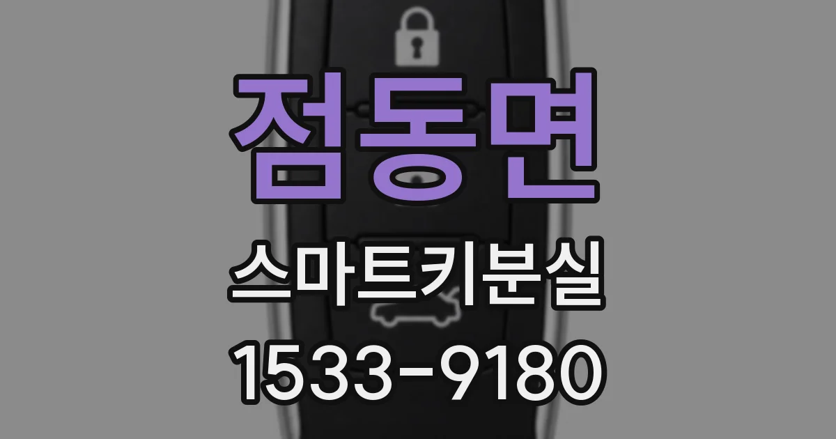 점동면 스마트키분실