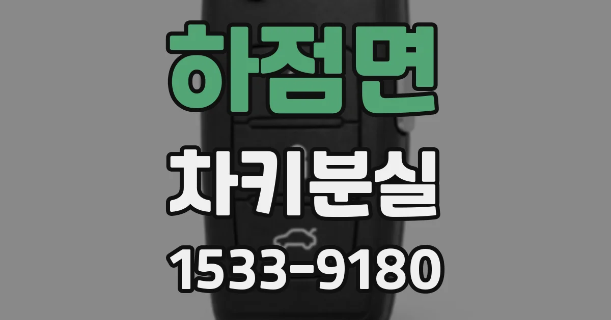하점면 차키분실