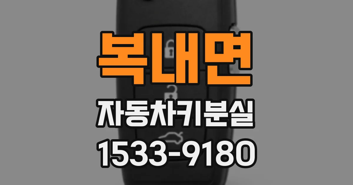 복내면 자동차키분실