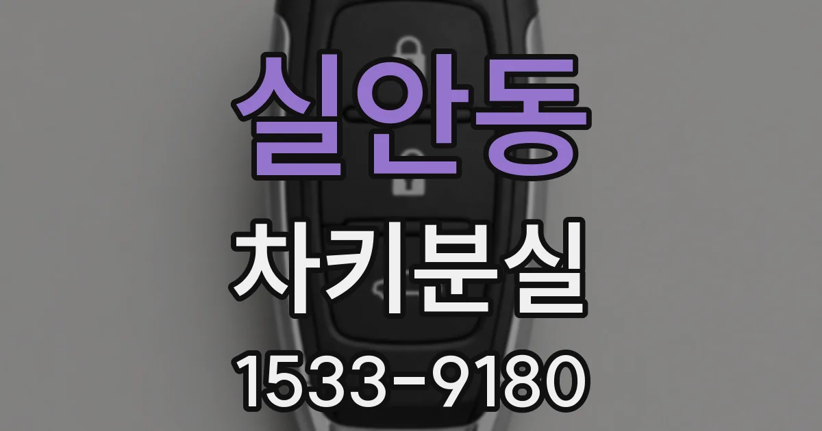 실안동 차키분실
