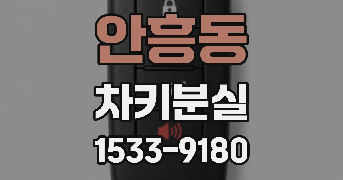 안흥동 차키분실