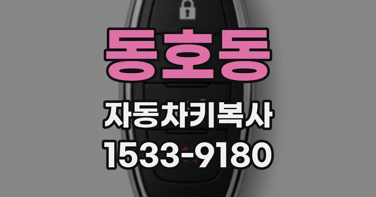 동호동 자동차키복사