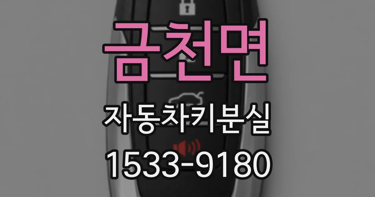 금천면 자동차키분실
