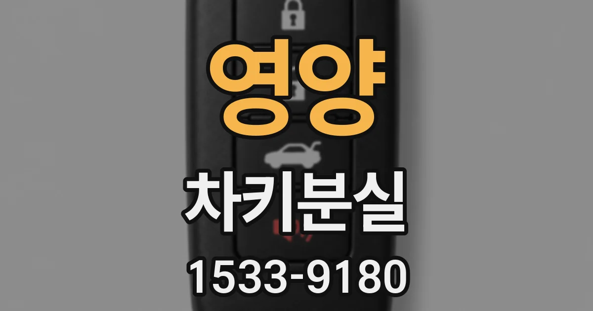 영양 차키분실