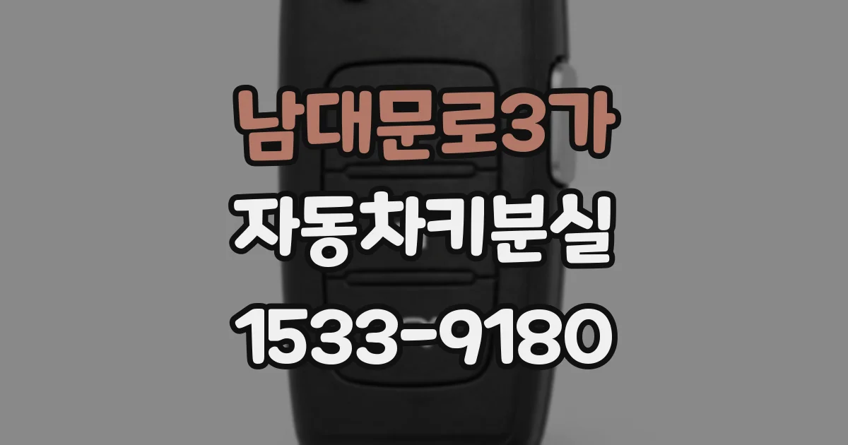 남대문로3가 자동차키분실
