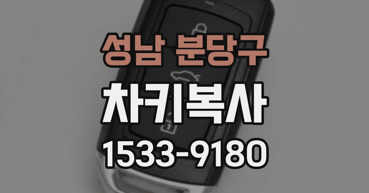 성남 분당구 차키복사