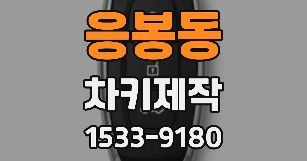 응봉동 차키제작