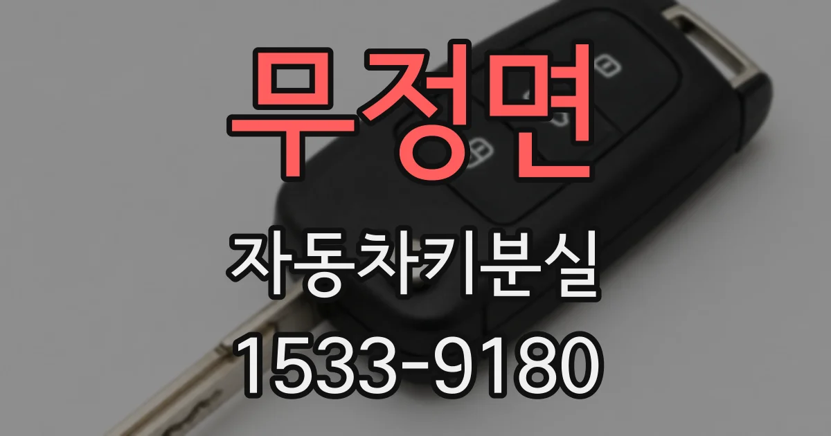 무정면 자동차키분실