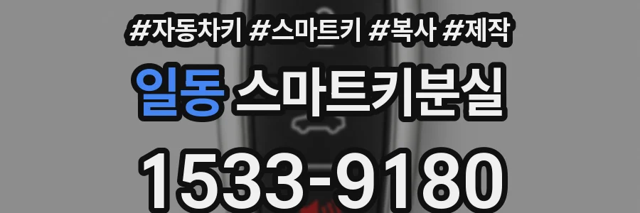 일동 스마트키분실