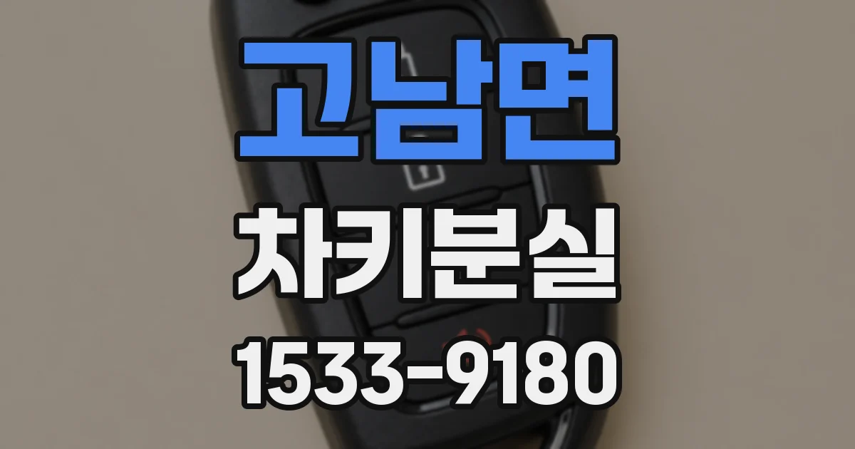 고남면 차키분실