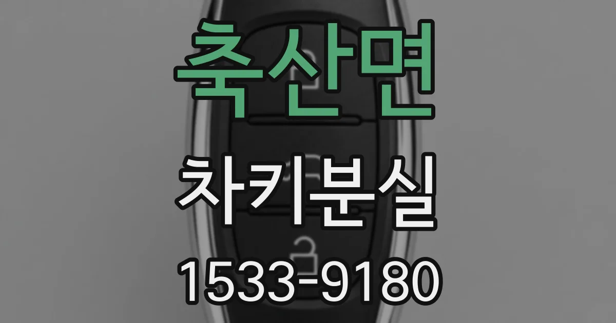 축산면 차키분실