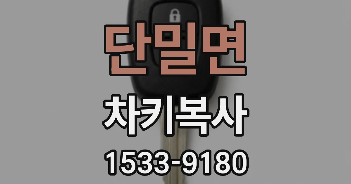 단밀면 차키복사