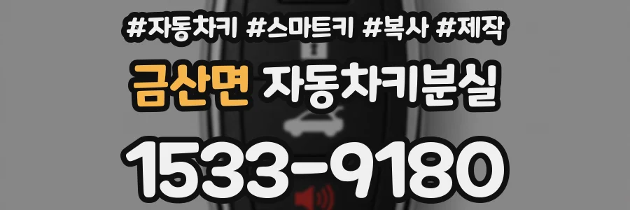 금산면 자동차키분실