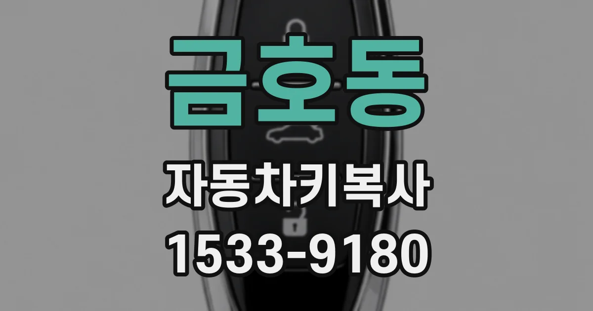 금호동 자동차키복사