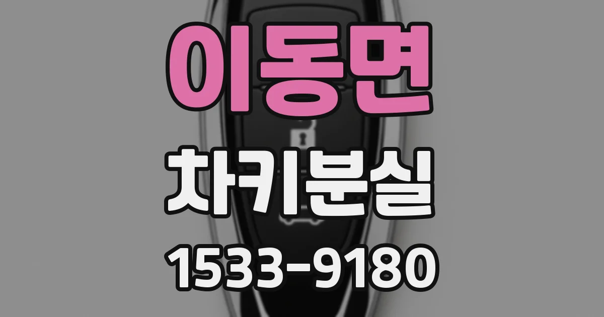 이동면 차키분실