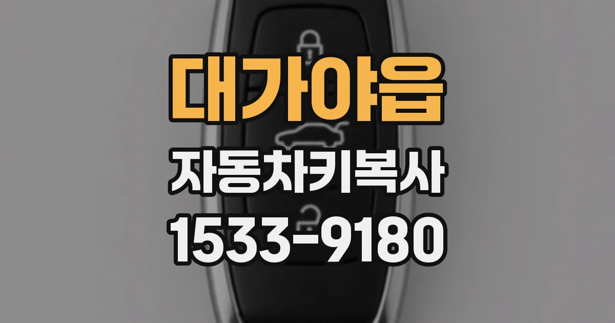 대가야읍 자동차키복사