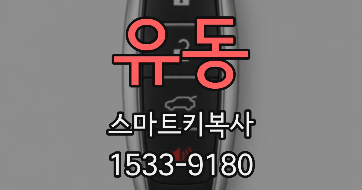 유동 스마트키복사