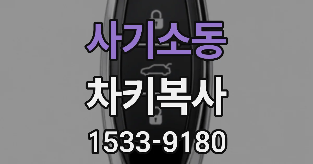 사기소동 차키복사