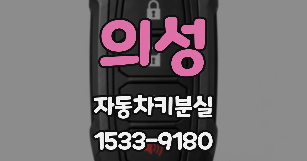 의성 자동차키분실