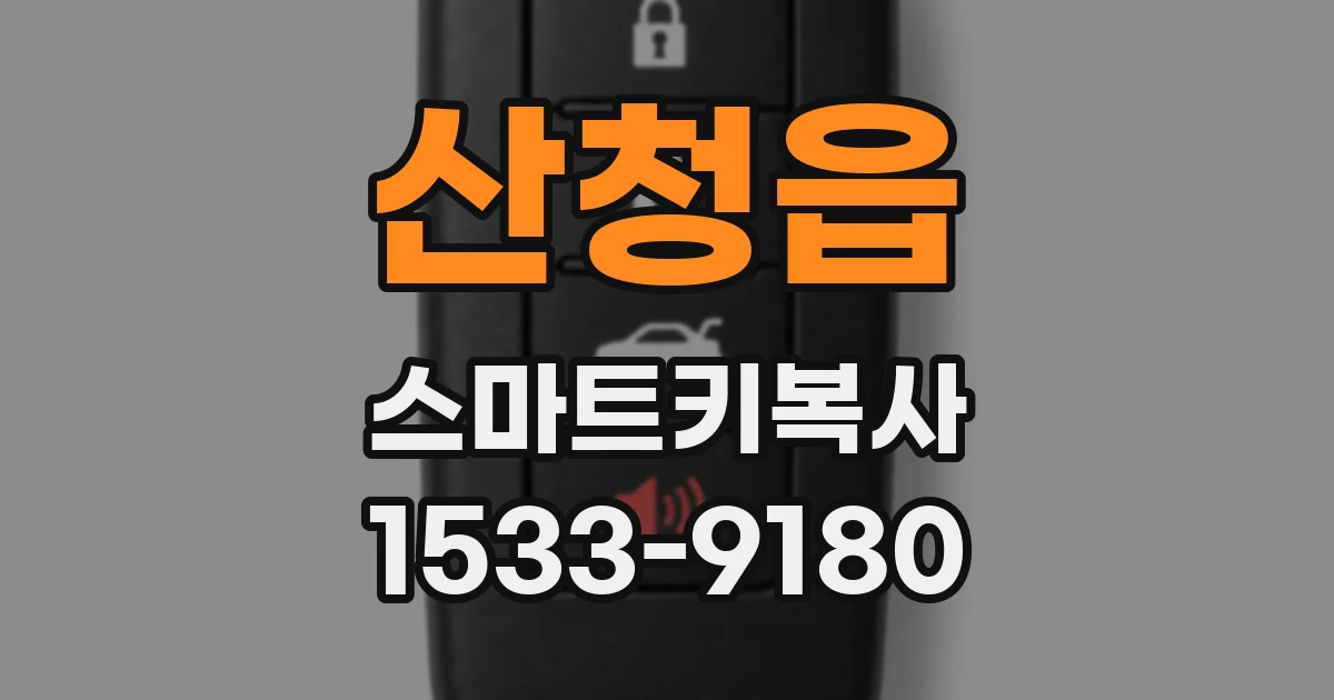산청읍 스마트키복사