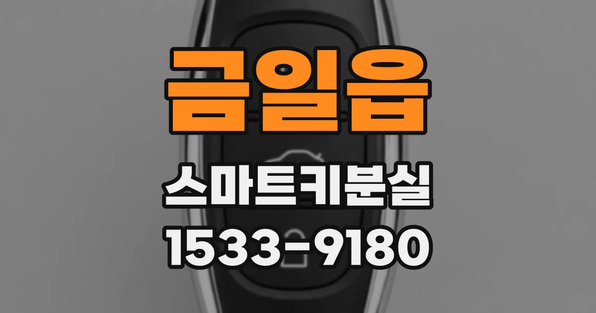 금일읍 스마트키분실