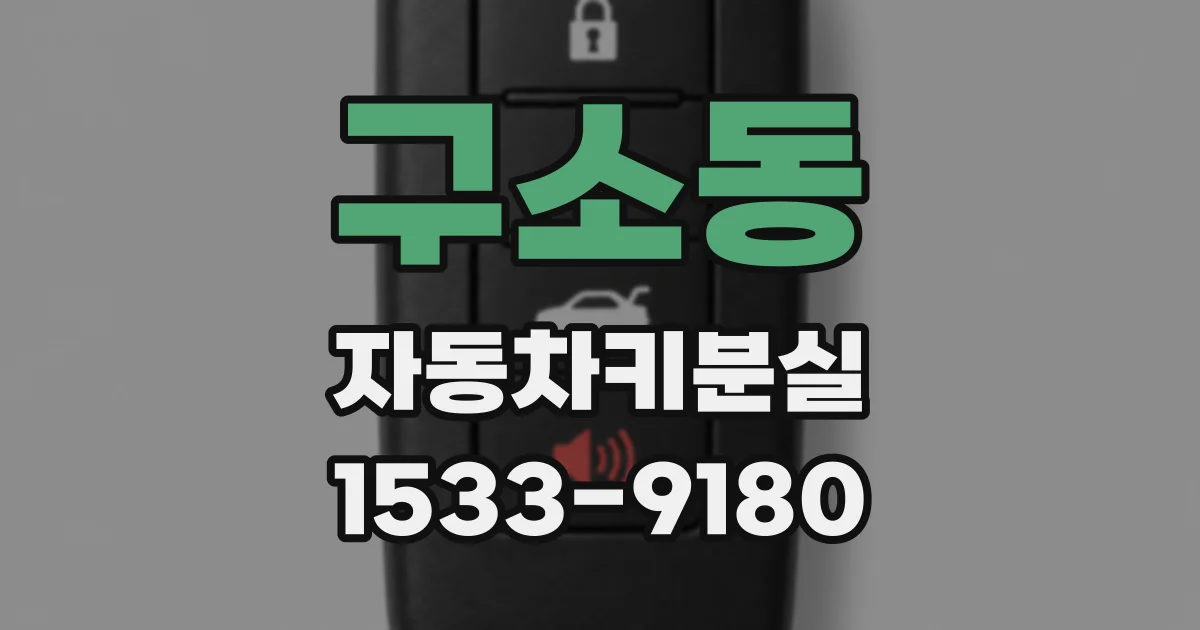 구소동 자동차키분실