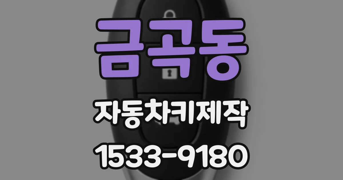 금곡동 자동차키제작