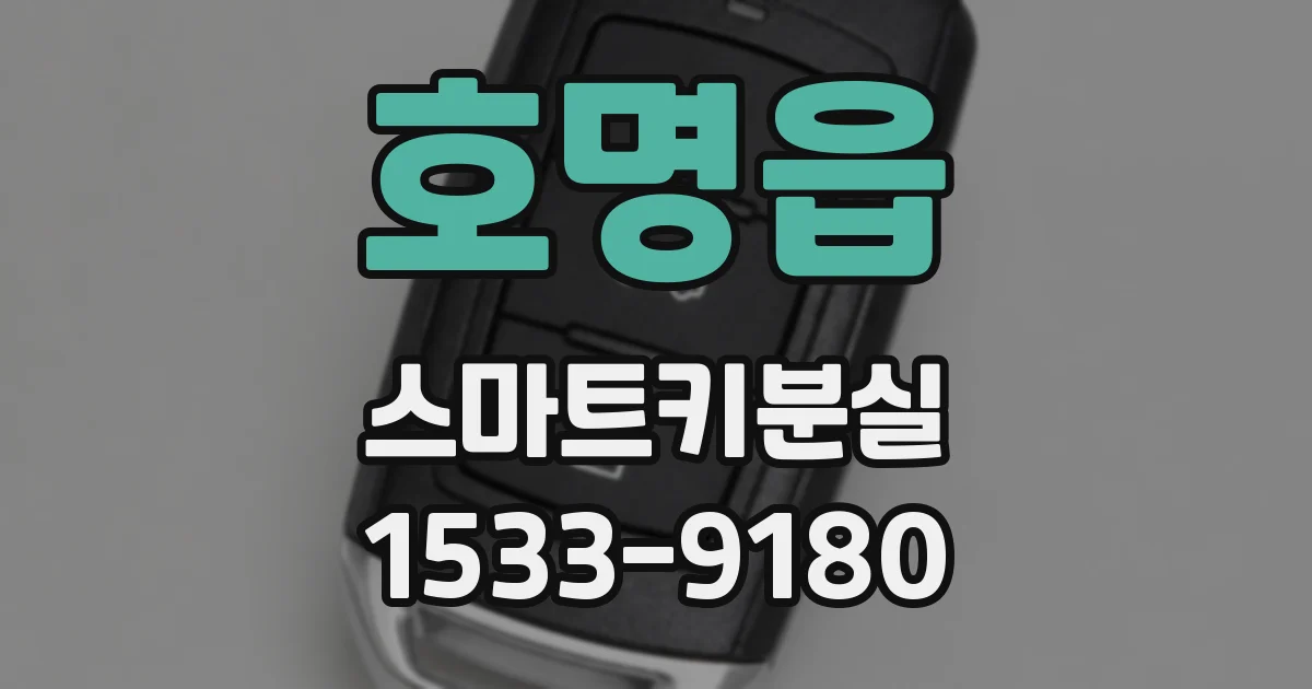 호명읍 스마트키분실