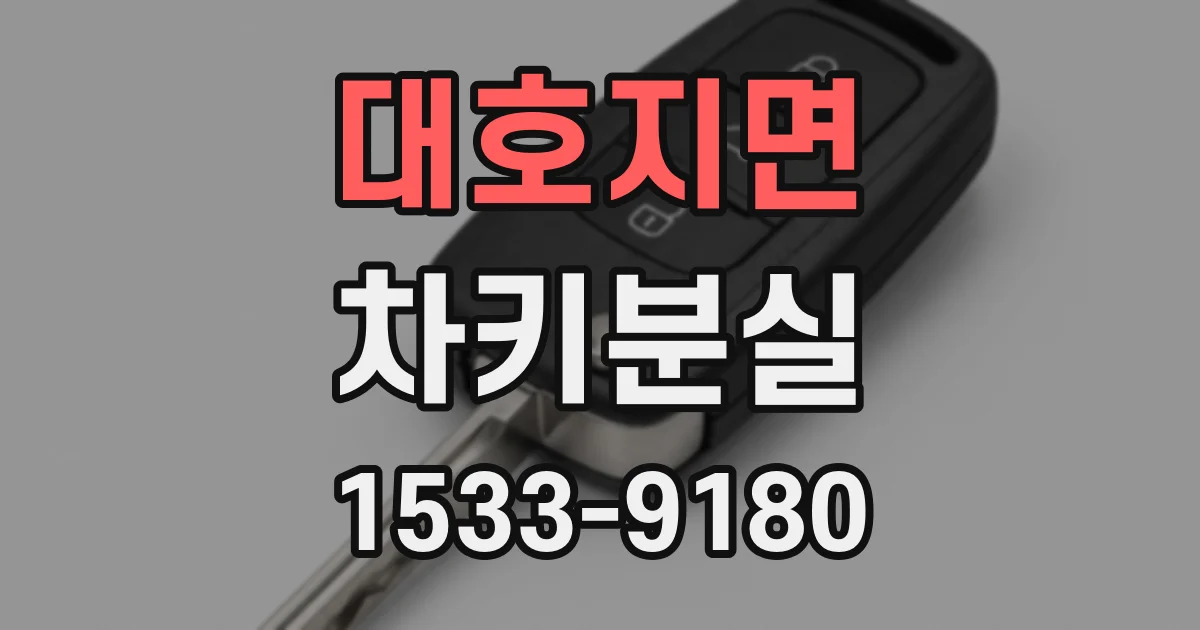 대호지면 차키분실