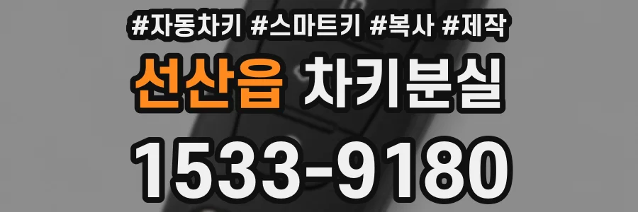 선산읍 차키분실