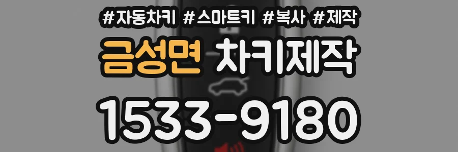 금성면 차키제작