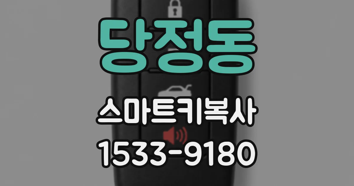 당정동 스마트키복사