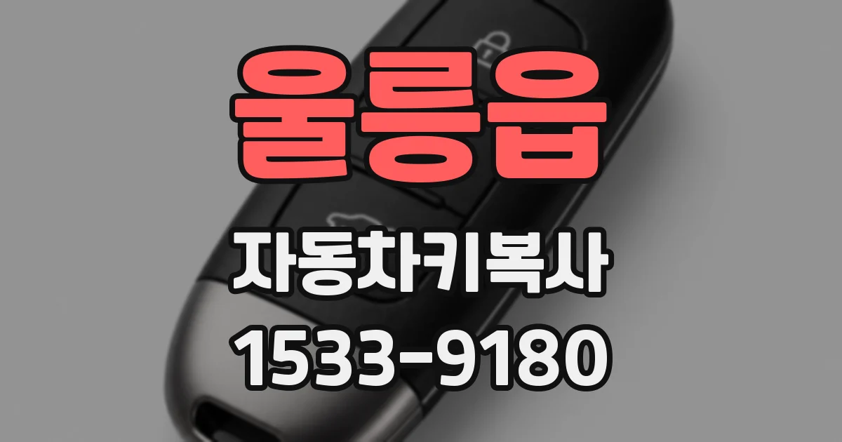울릉읍 자동차키복사